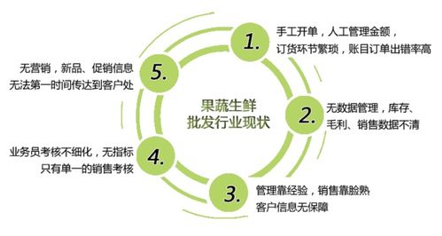 食品蔬菜零售的高效管理软件推荐 数字化助手助力食品销售轻松经营