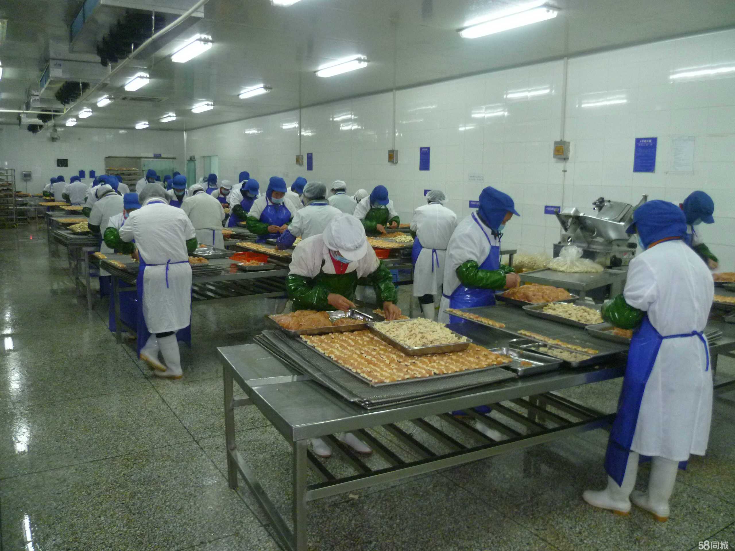 江苏康贝宠物食品 以匠心品质引领健康宠物饮食新潮流